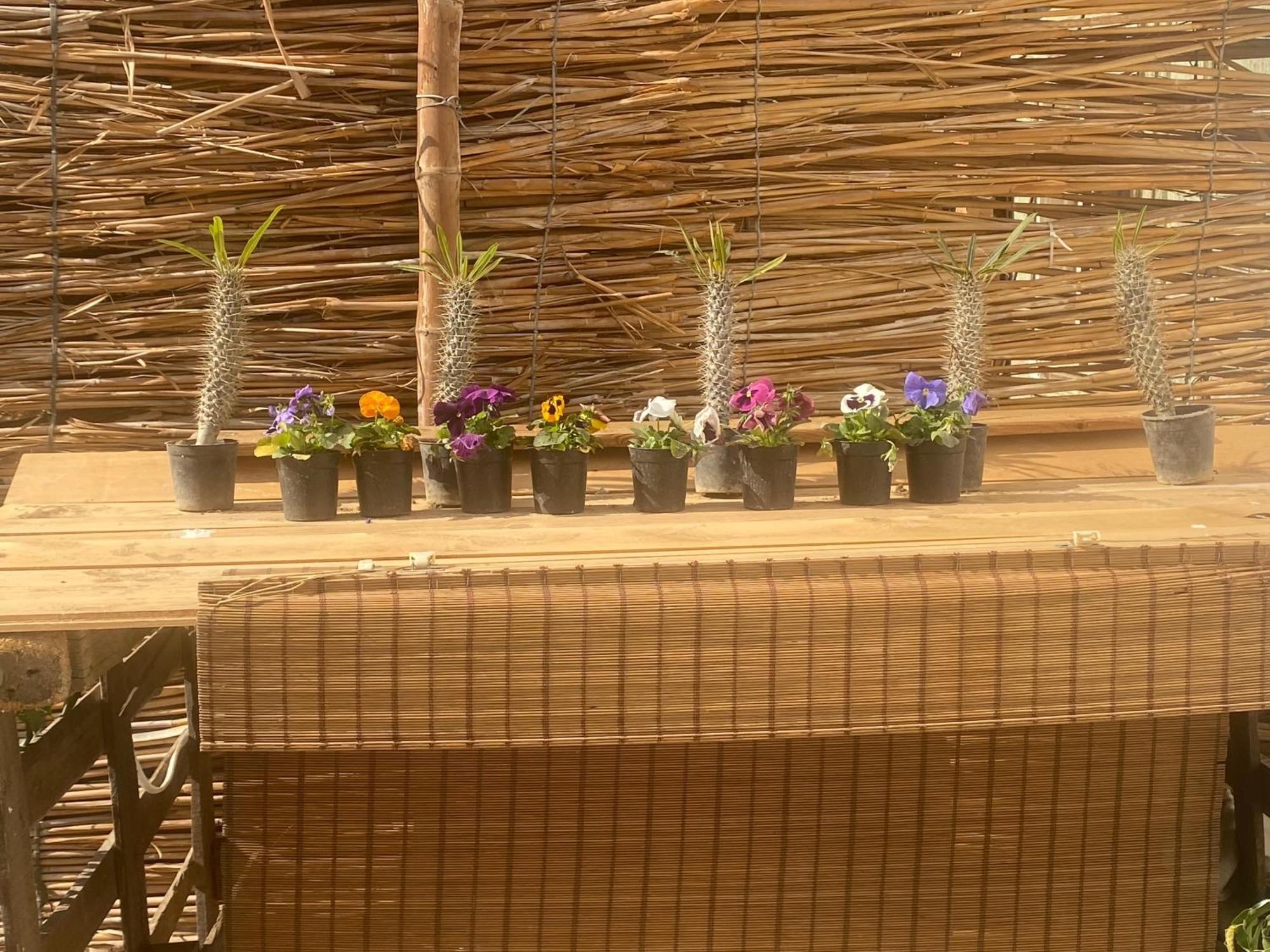 Airport Rooftop Club Luxurious Rooms And Studios Il Il Cairo Esterno foto